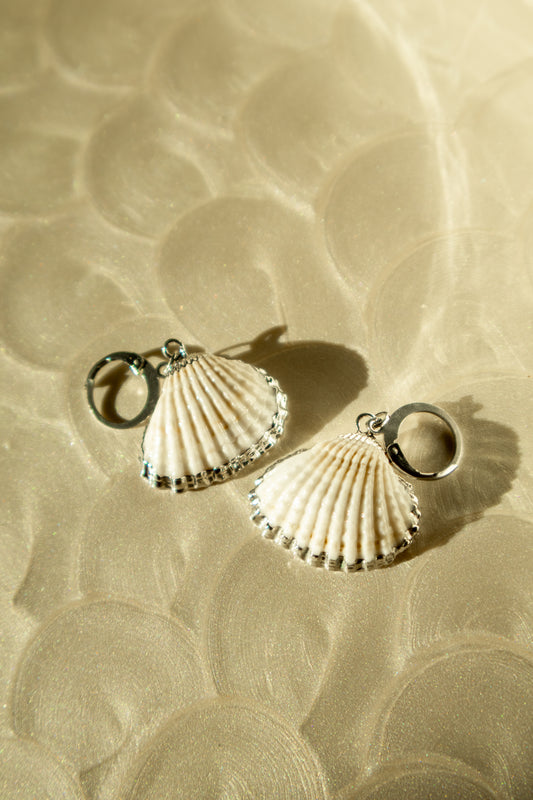 Silver Dipped Natural Shell Huggie Hoop Earrings