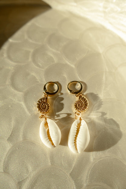 Tiered Nautilus Cowrie Shell Huggie Hoop Earrings