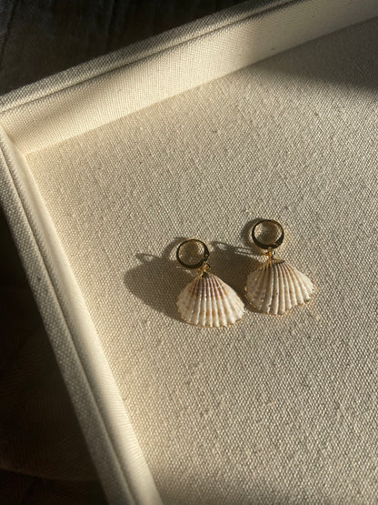 Gold Dipped Natural Shell Huggie Hoop Earrings