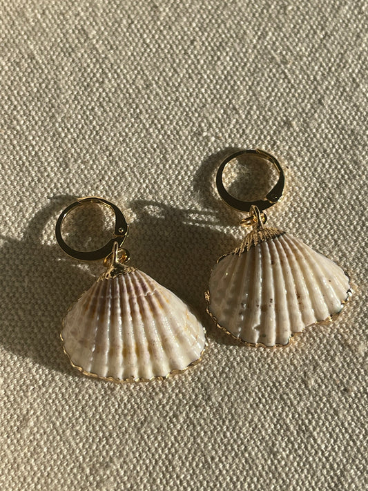 Gold Dipped Natural Shell Huggie Hoop Earrings