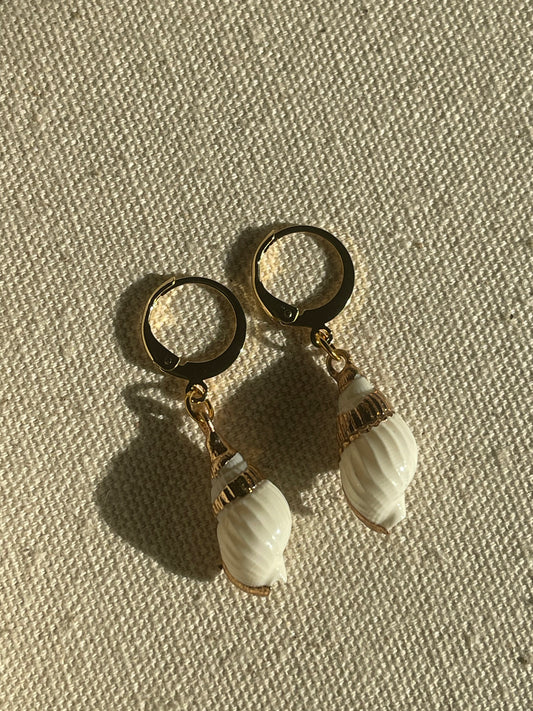 Gold Dipped Natural Cone Shell Huggie Hoop Earrings