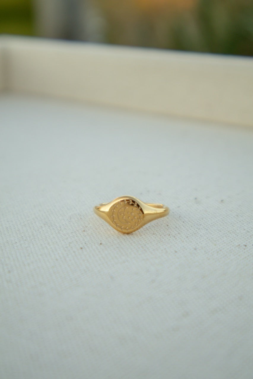 Gold Celestial Signet Ring