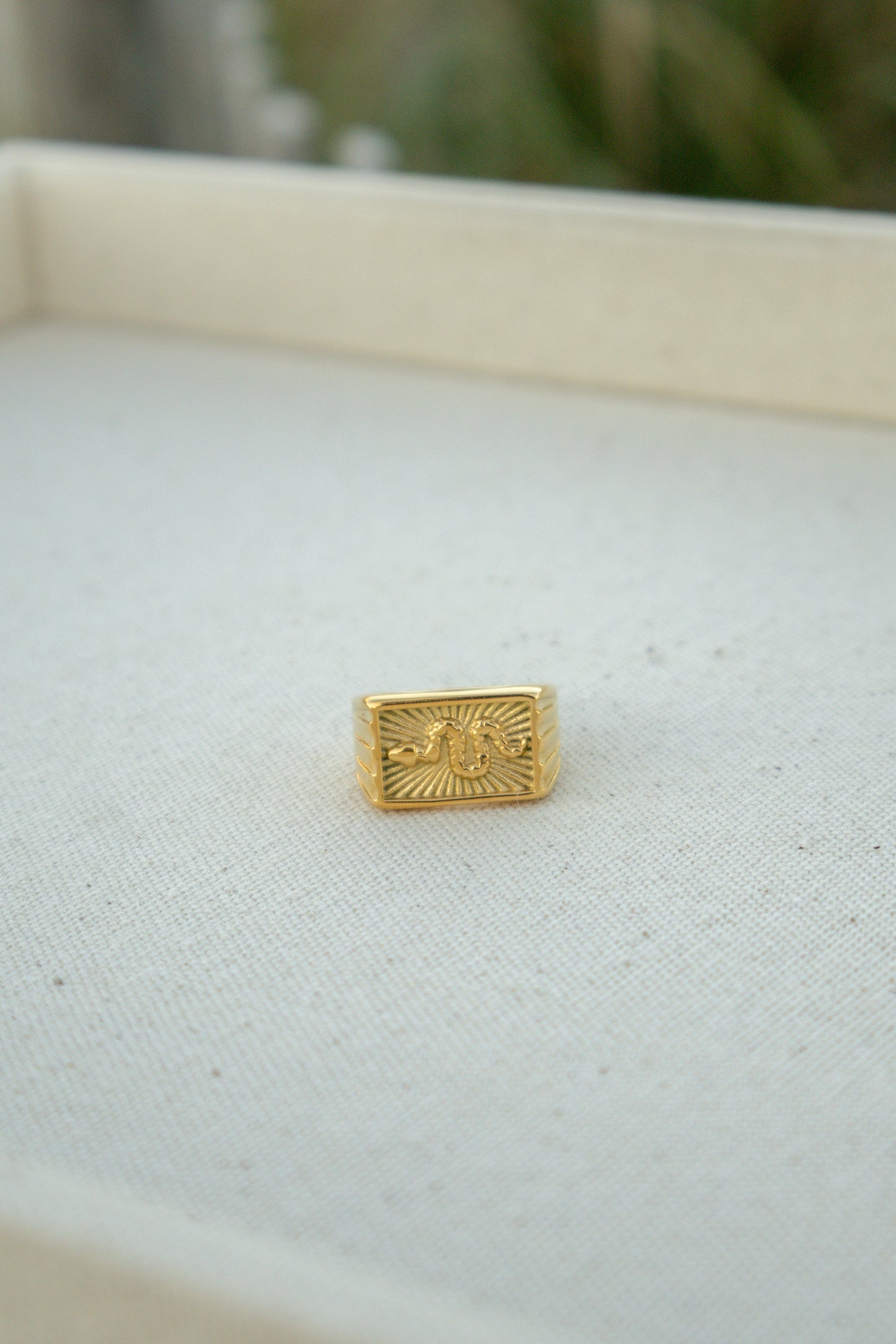 Serpent Statement Signet Ring